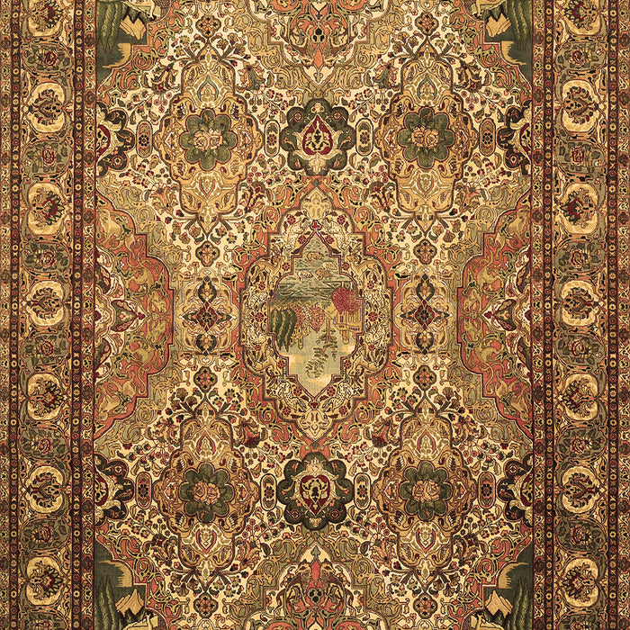 Machine Washable Persian Brown Traditional Rug, wshtr501brn