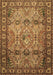 Persian Brown Traditional Rug, tr501brn