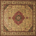 Square Medallion Brown Traditional Rug, tr502brn