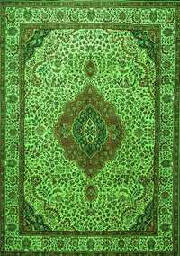 Medallion Green Traditional Rug, tr502grn