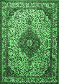 Medallion Emerald Green Traditional Rug, tr502emgrn