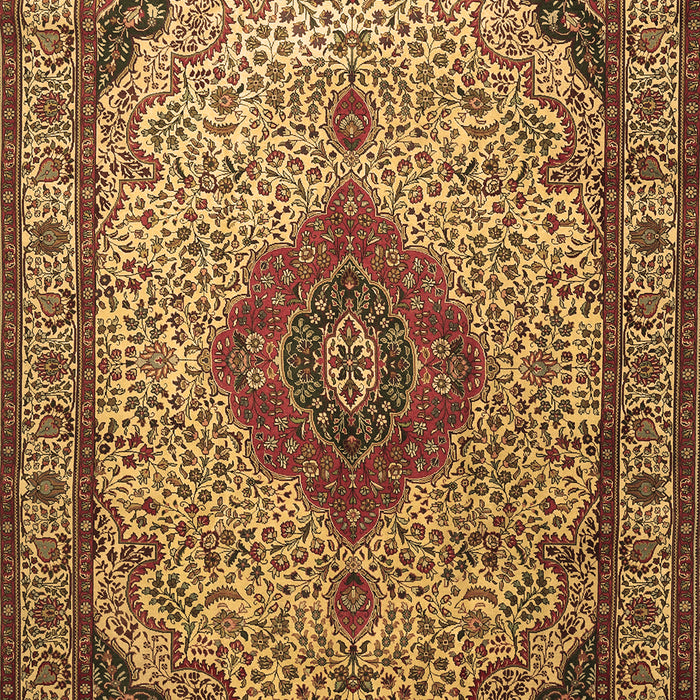 Medallion Brown Traditional Rug, tr502brn