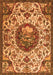 Animal Orange Traditional Rug, tr503org