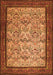 Persian Orange Traditional Rug, tr505org