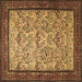 Square Machine Washable Persian Brown Traditional Rug, wshtr505brn