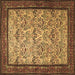 Square Persian Brown Traditional Rug, tr505brn