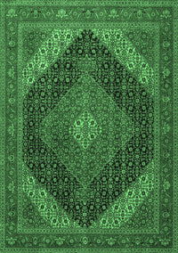 Medallion Emerald Green Traditional Rug, tr506emgrn