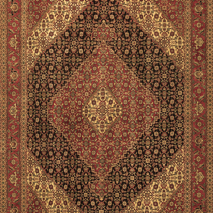 Machine Washable Medallion Brown Traditional Rug, wshtr506brn