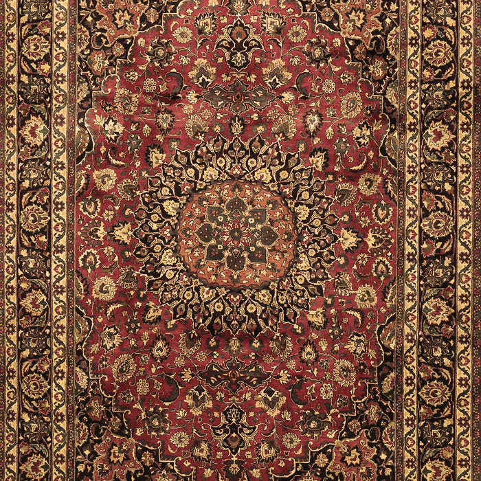 Medallion Brown Traditional Rug, tr512brn