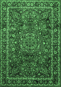 Medallion Emerald Green Traditional Rug, tr512emgrn