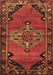 Medallion Brown Traditional Rug, tr517brn