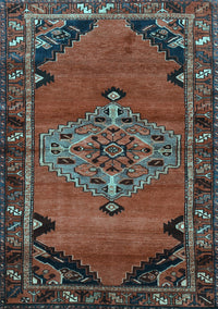 Medallion Light Blue Traditional Rug, tr517lblu