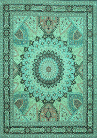 Medallion Turquoise Traditional Rug, tr51turq