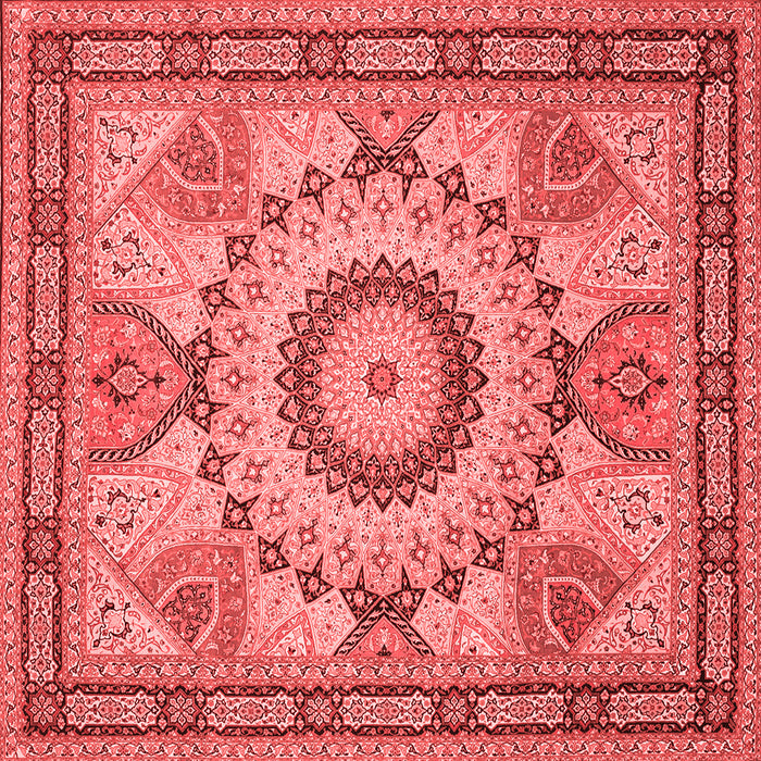 Medallion Red Traditional Rug, tr51red