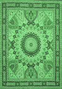 Medallion Emerald Green Traditional Rug, tr51emgrn