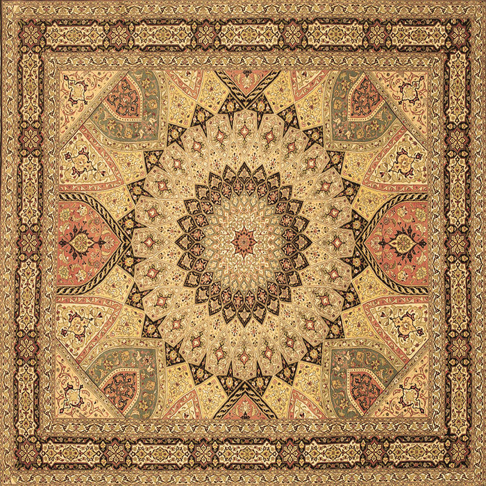 Square Medallion Brown Traditional Rug, tr51brn