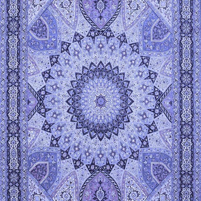 Machine Washable Medallion Blue Traditional Rug, wshtr51blu