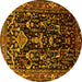 Round Machine Washable Persian Yellow Traditional Rug, wshtr522yw