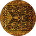 Round Persian Yellow Traditional Rug, tr522yw