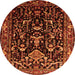 Square Persian Orange Traditional Rug, tr522org