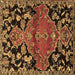 Square Persian Brown Traditional Rug, tr523brn
