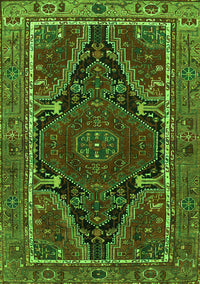 Persian Green Traditional Rug, tr524grn