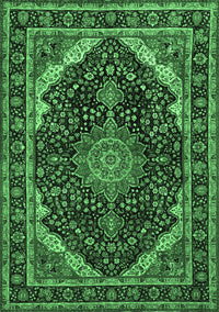 Medallion Emerald Green Traditional Rug, tr527emgrn