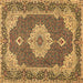 Square Machine Washable Medallion Brown Traditional Rug, wshtr528brn