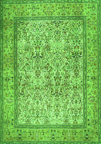 Persian Green Traditional Rug, tr529grn