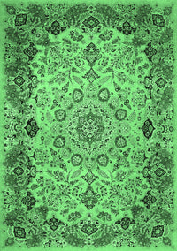 Medallion Emerald Green Traditional Rug, tr530emgrn