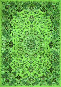 Medallion Green Traditional Rug, tr530grn