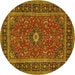 Round Persian Yellow Traditional Rug, tr532yw