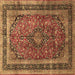 Square Persian Brown Traditional Rug, tr533brn