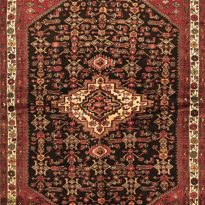 Persian Brown Traditional Rug, tr534brn