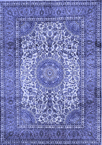 Medallion Blue Traditional Rug, tr535blu