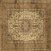 Square Medallion Brown Traditional Rug, tr535brn