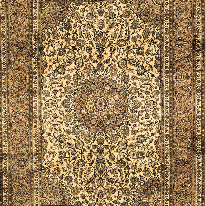 Medallion Brown Traditional Rug, tr535brn