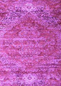 Persian Purple Traditional Rug, tr537pur