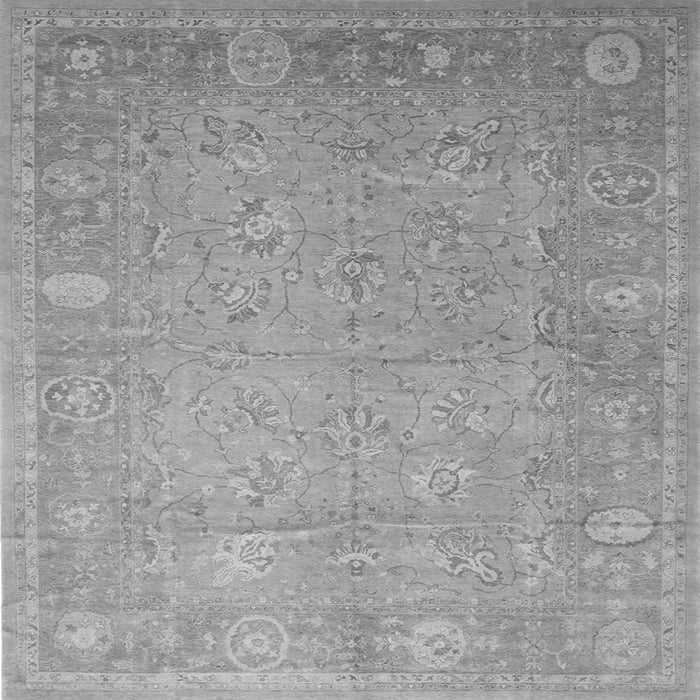 Serging Thickness of Oriental Gray Traditional Rug, tr538gry