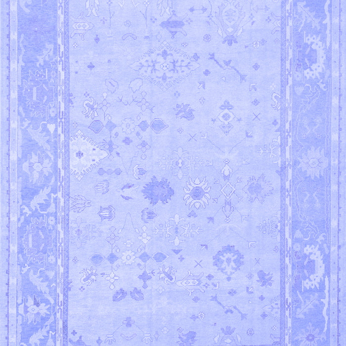 Oriental Blue Traditional Rug, tr540blu