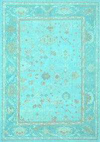 Oriental Light Blue Traditional Rug, tr540lblu