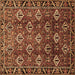 Square Persian Brown Traditional Rug, tr544brn