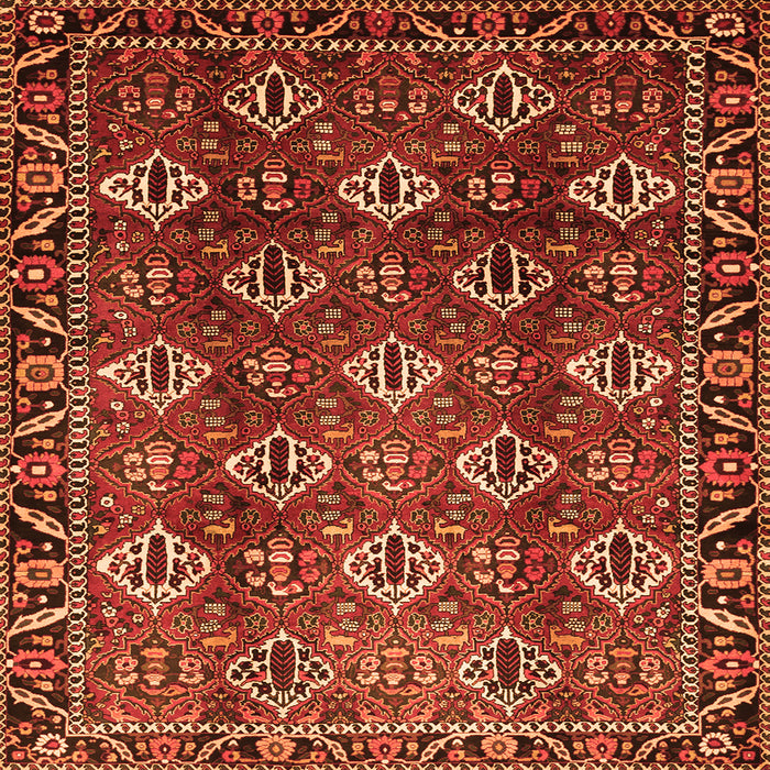 Serging Thickness of Persian Orange Traditional Rug, tr544org