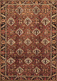 Persian Brown Traditional Rug, tr544brn