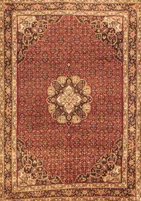 Medallion Brown Traditional Rug, tr547brn