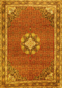 Medallion Yellow Traditional Rug, tr547yw