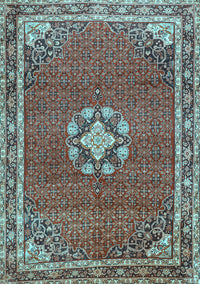 Medallion Light Blue Traditional Rug, tr547lblu