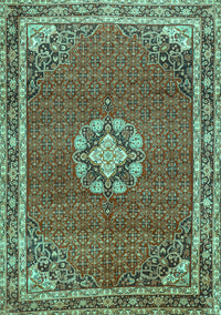 Medallion Turquoise Traditional Rug, tr547turq