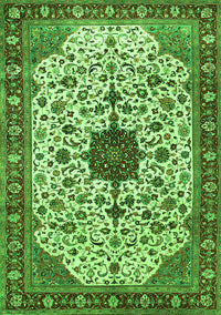 Medallion Green Traditional Rug, tr548grn