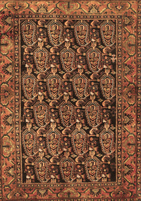 Persian Brown Traditional Rug, tr551brn